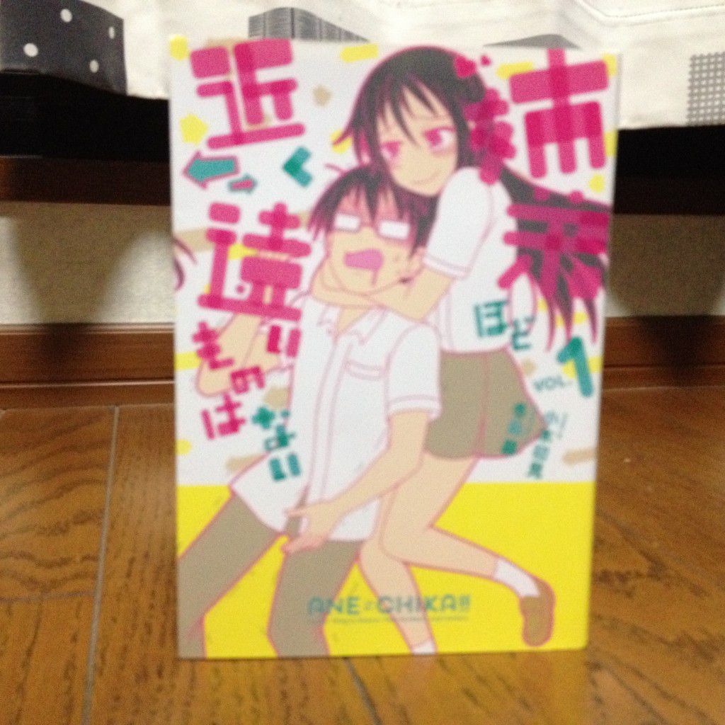 姉弟ほど近く遠いものはない第一巻表紙