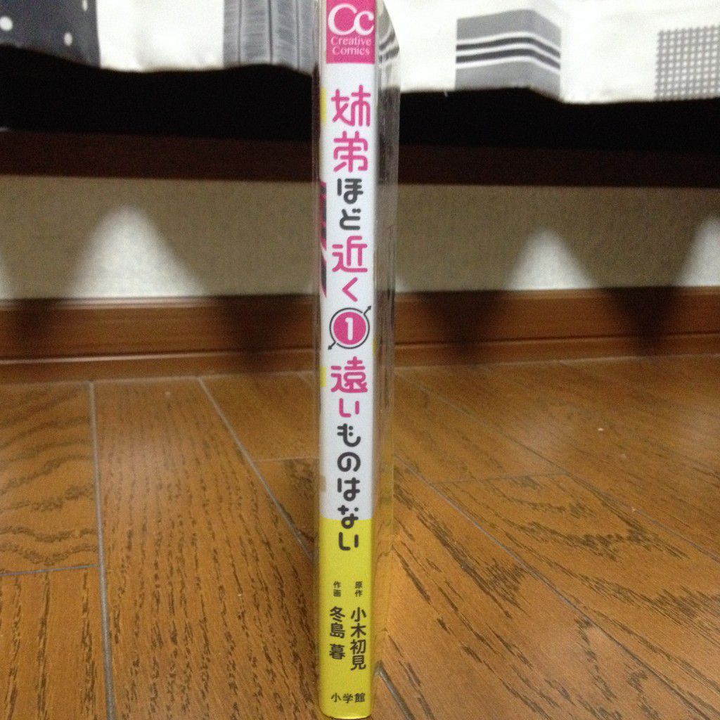 姉弟ほど近く遠いものはない第一巻横