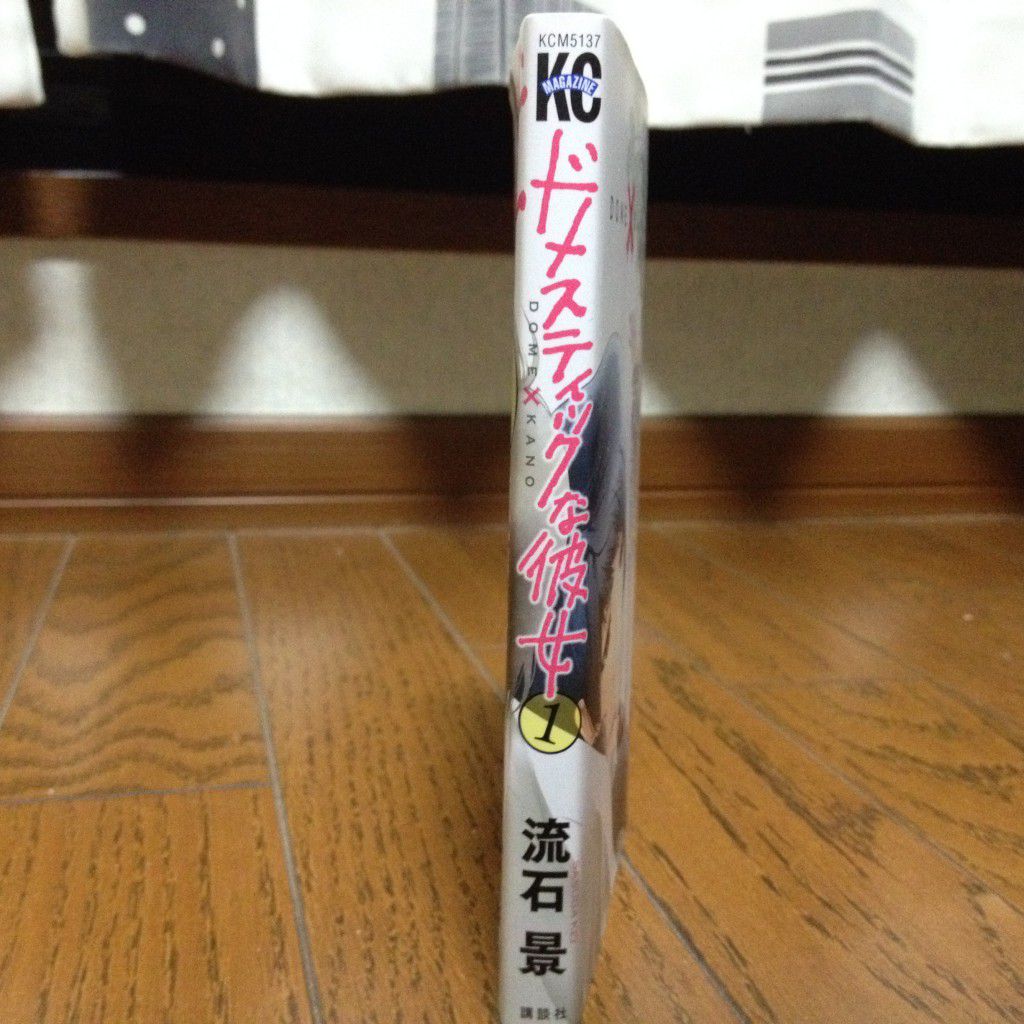 ドメスティックな彼女第一巻横