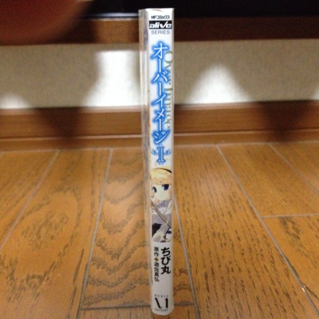 オーバーイメージ第一巻横