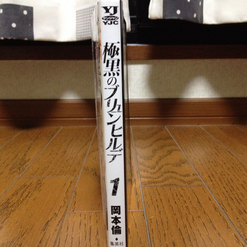 極黒のブリュンヒルデ第一巻横