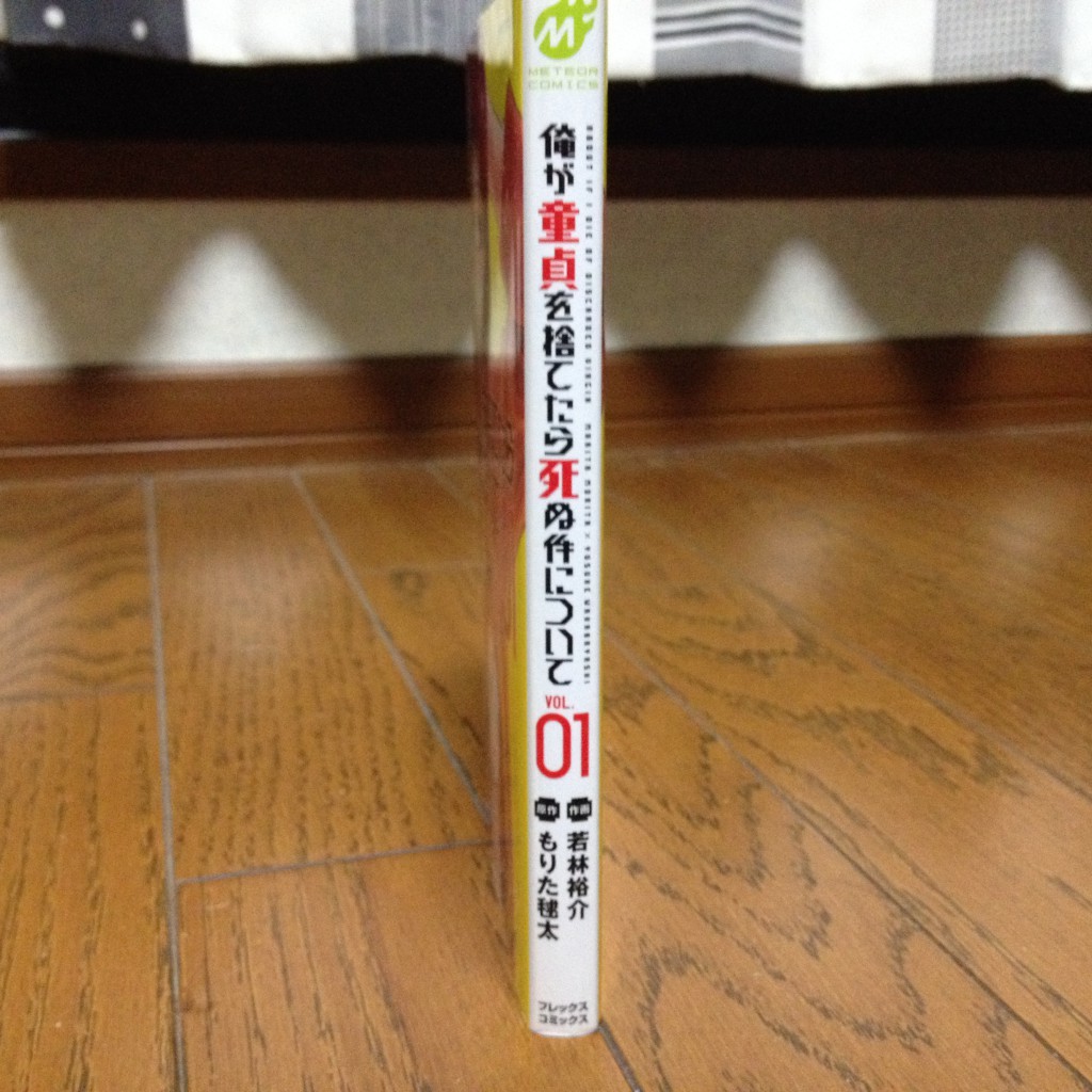 俺が童貞を捨てたら死ぬ件について第一巻横