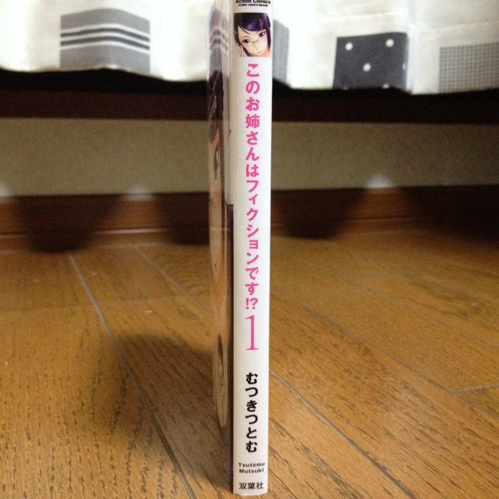 このお姉さんはフィクションです！？第一巻横