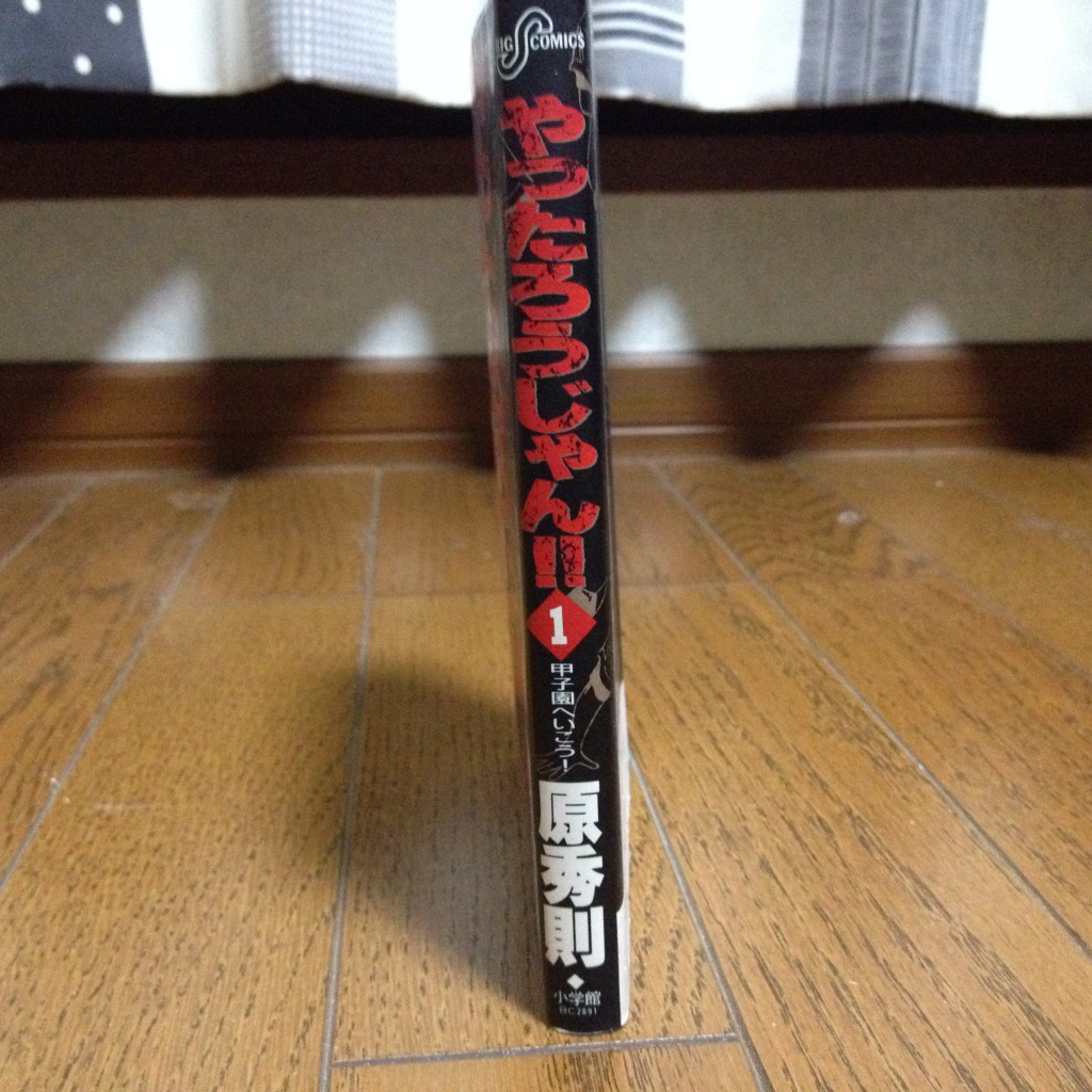 やったろうじゃん！！第一巻横