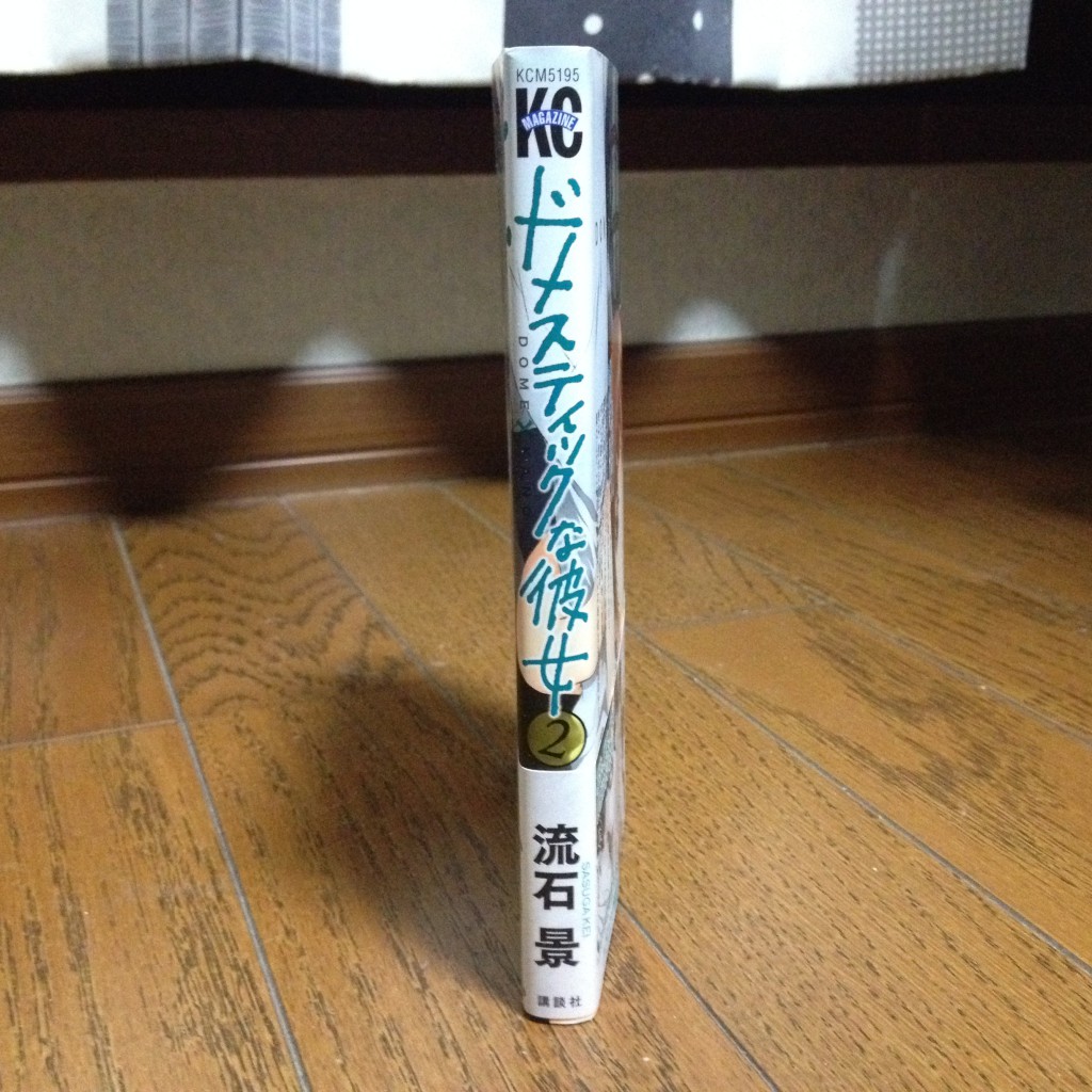 ドメスティックな彼女第二巻横