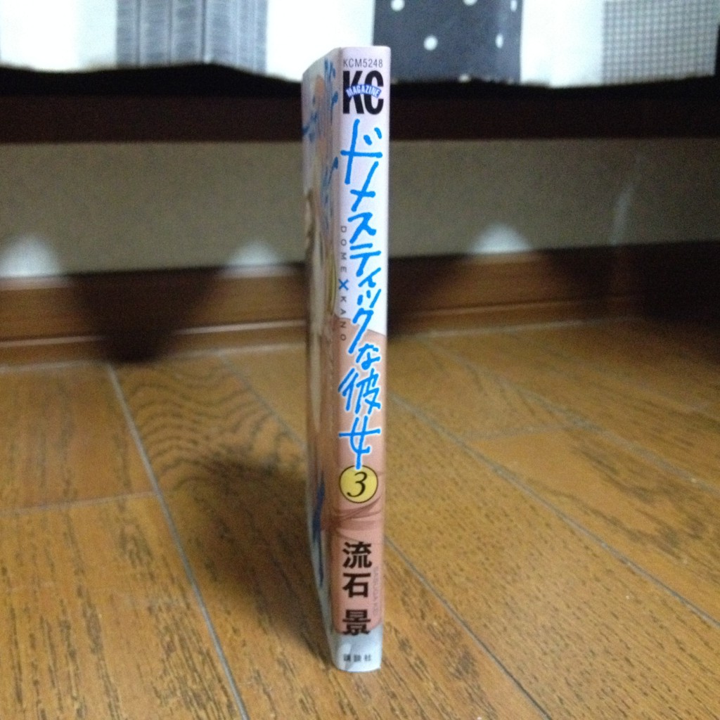 ドメスティックな彼女第三巻横