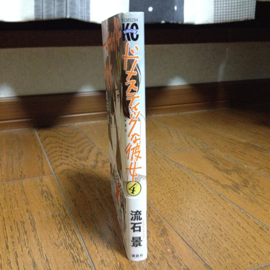 ドメスティックな彼女第四巻横