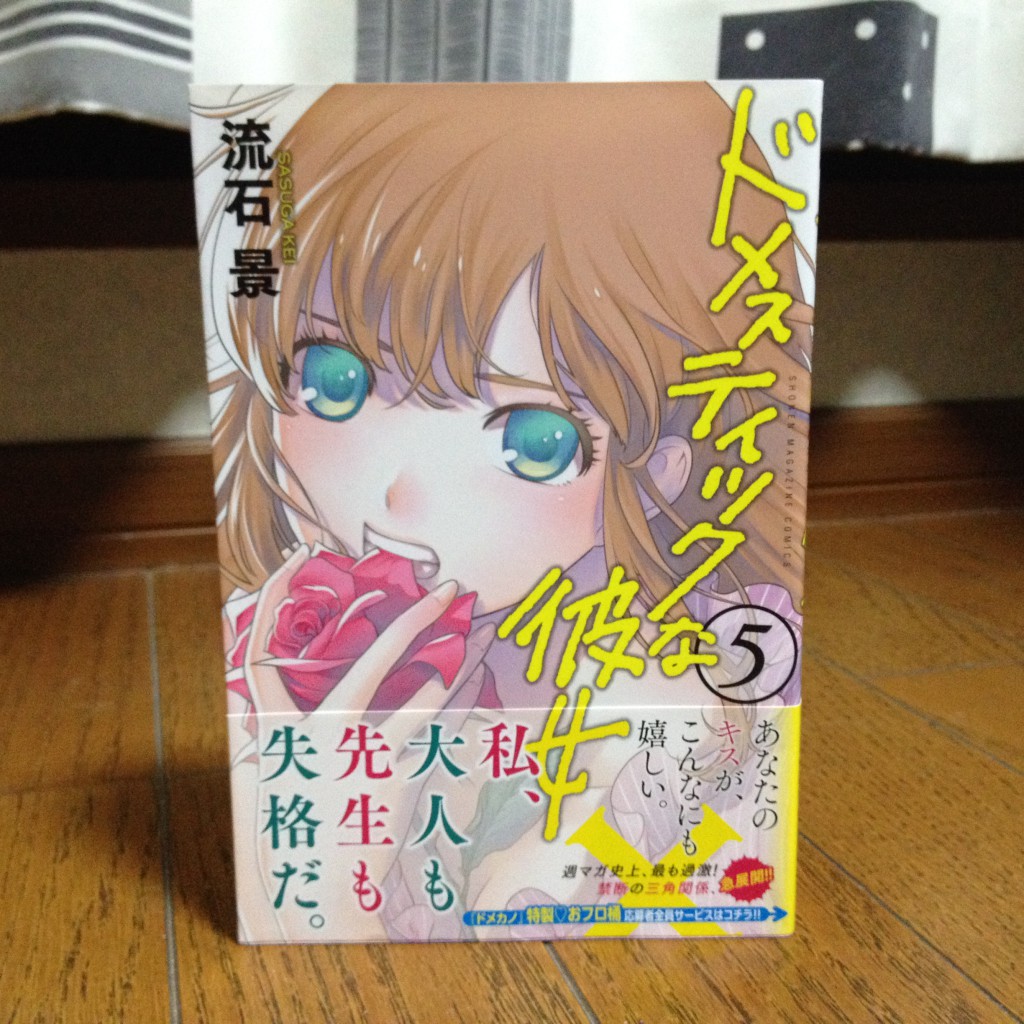 ドメスティックな彼女第五巻表紙