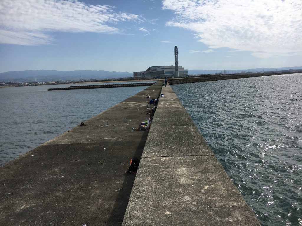 沖堤防の眺め