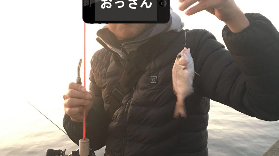ヘチ釣りでチダイ